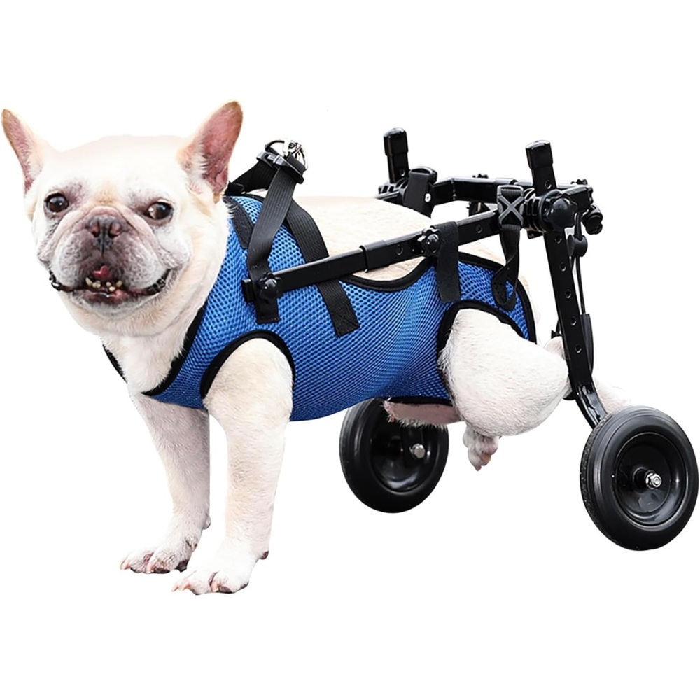 Dog Wheelchair